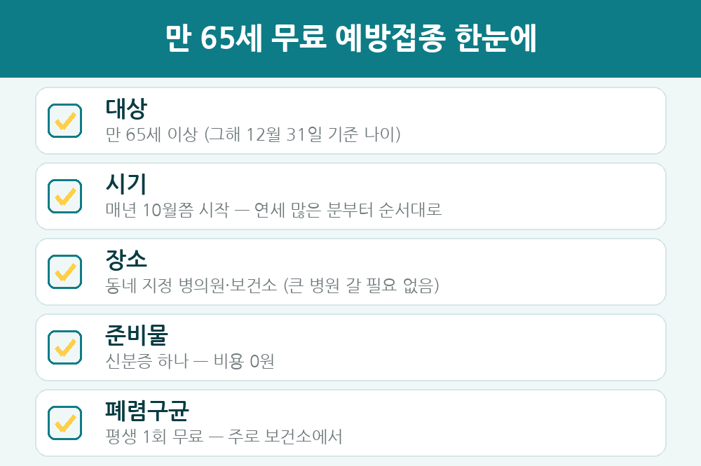 만 65세 무료 예방접종 한눈에 - 대상, 시기, 장소, 준비물, 폐렴구균 평생 1회